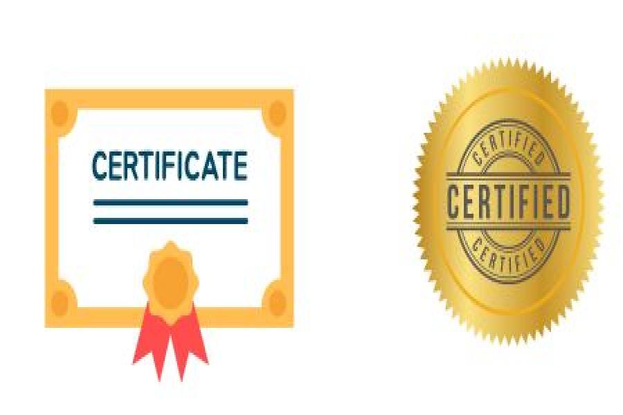 Temporary / Early Certificate&amp;amp;nbsp;